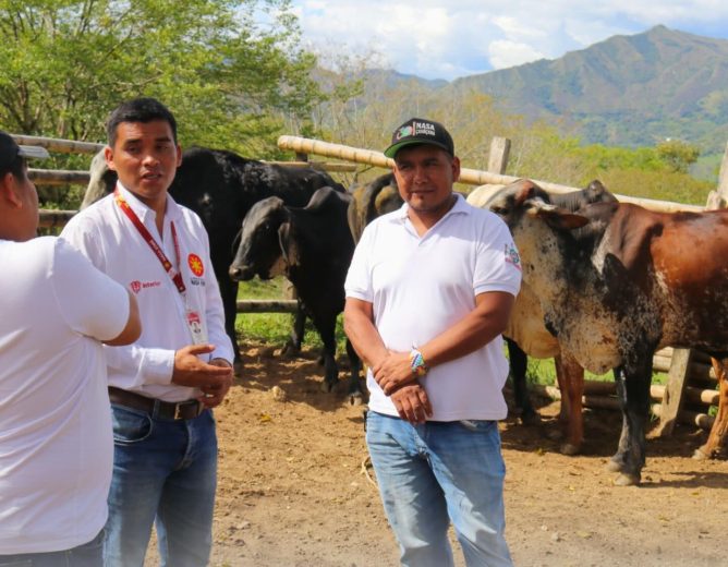 Proyectos que generan bienestar y sostenibilidad en Páez, Cauca